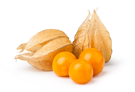 Physalis