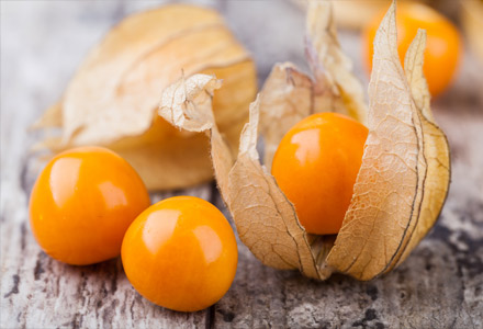 PHYSALIS 1